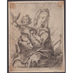 Jacopo Ciucci (XVI secolo). Madonna mit Kind und einem Vogel