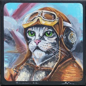 Mariusz Syta, Syta cat pilot