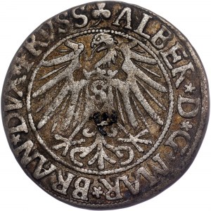Nemecké štáty - Albert Hohenzollern, Groschen Königsberg 1543