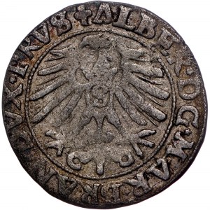 German States - Albert Hohenzollern, Groschen Königsberg 1550