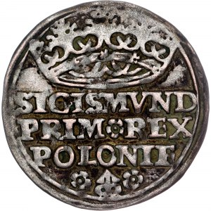 Polonia - Sigismondo I il Vecchio, Groschen 1528 Cracovia