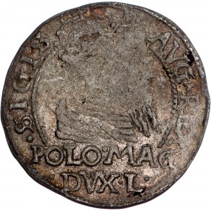 Polonia - Sigismondo II Agosto Groschen 1566 Tykocin