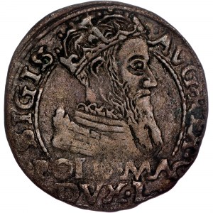 Polonia - Sigismondo II Agosto Groschen 1566 Tykocin