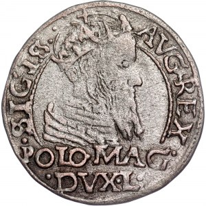 Polonia - Sigismondo II Agosto Groschen 1566 Tykocin
