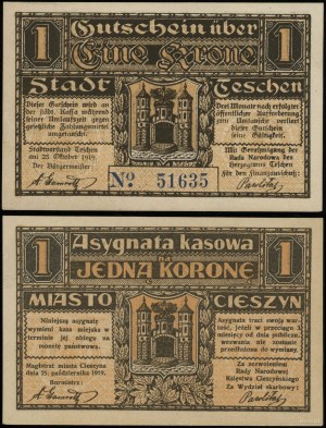 Cieszyn Silesia, 1 crown, 25.10.1919