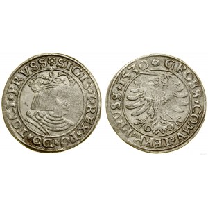 Polsko, penny, 1530, Toruň