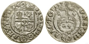 Pologne, półtorak, 1624, Bydgoszcz