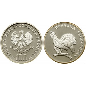 Poland, 100 zloty, 1980, Warsaw