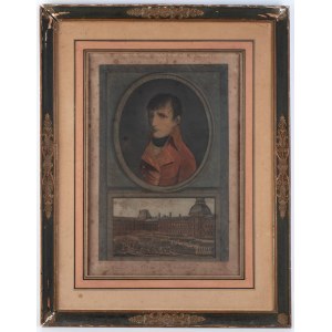 Napoleone Primo console della Repubblica Francese