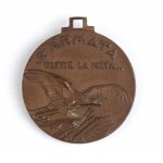 Medaglia commemorativa della Seconda Armata