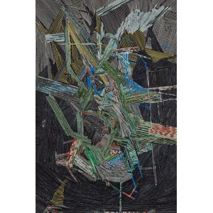 Marcin Dudek (ur. 1979, Kraków), Order and progress, 2015