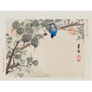 Imao Keinen (1845-1924), Modrý vták a pavúk, Osaka, 1892