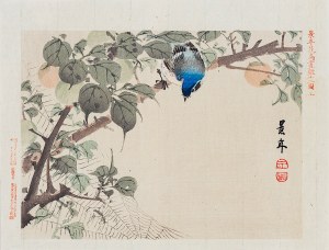 Imao Keinen (1845-1924), The blue bird and the spider, Osaka, 1892