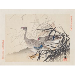 Imao Keinen (1845-1924), Wildgänse, Osaka, 1892