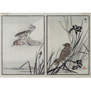 Kōno Bairei (1844-1895), Ptaki i irysy, Tokio, 1884