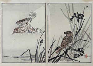 Kōno Bairei (1844-1895), Ptaki i irysy, Tokio, 1884