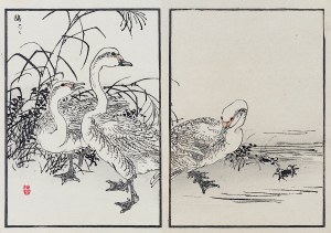 Kōno Bairei (1844-1895), Gänse, Tokio, 1884