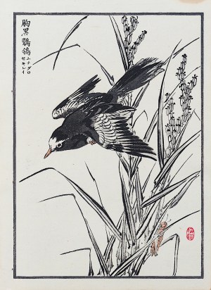 Kōno Bairei (1844-1895), Oiseau noir, Tokyo, 1884