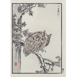 Kōno Bairei (1844-1895), Owl, Tokyo, 1884
