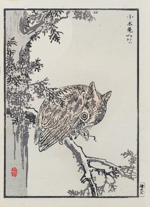 Kōno Bairei (1844-1895), Sówka, Tokio, 1884