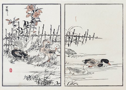 Kōno Bairei (1844-1895), Kaczki na stawie, Tokio, 1884