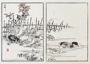 Kōno Bairei (1844-1895), Kačice na rybníku, Tokio, 1884