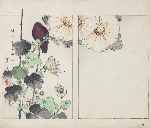 Watanabe Seitei (1851-1918), Czarny ptak i kwiaty, Tokio, 1892