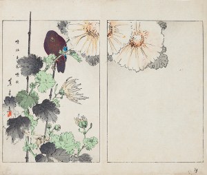 Watanabe Seitei (1851-1918), Černý pták a květiny, Tokio, 1892