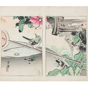 Watanabe Seitei (1851-1918), Uccello, Tokyo, 1892