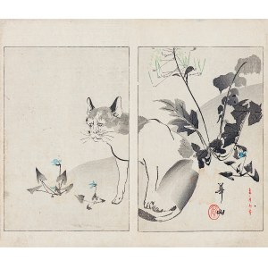 Watanabe Seitei (1851-1918), Chat, Tokyo, 1892