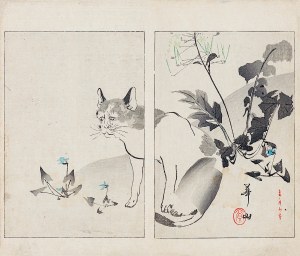 Watanabe Seitei (1851-1918), Mačka, Tokio, 1892