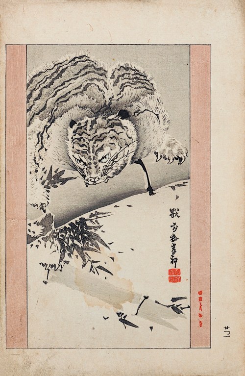 Watanabe Seitei (1851-1918), Tygrys, Tokio, 1892