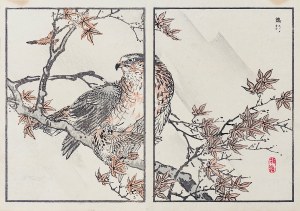 Kōno Bairei (1844-1895), Orzeł, Tokio, 1884