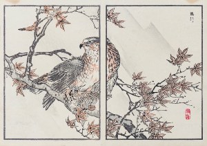 Kōno Bairei (1844-1895), Adler, Tokio, 1884