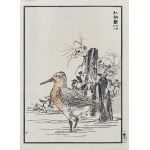 Kōno Bairei (1844-1895), Voda - soubor tří dřevorytů, Tokio, 1884