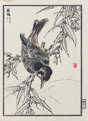 Kōno Bairei (1844-1895), Air II - set of two woodcuts, Tokyo, 1884