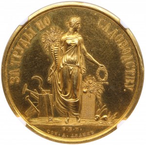 Russland Goldpreis Medaille 1869 - 