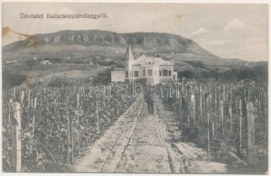 1921 Badacsonylábdihegy (Badacsonytördemic), villa Nyaraló, szőlőskert (fl)