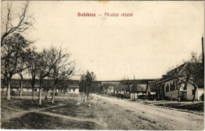 1916 Budakeszi, Fő utca (fl)