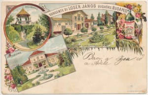 1900 Budaörs, Loser János keserűvíz üzeme, Belvedere, forrás, villa. Olasz nyelvű szecessziós reklámlap ...