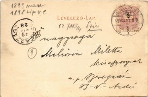 1899 (Vorläufer) Budapest V. Látkép madártávlatból (ázott / Nassschaden)
