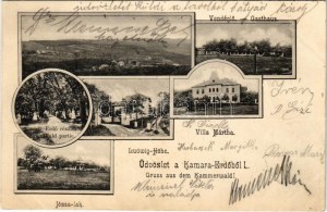 1905 Budapešť XI. Kamaraerdő, Kamara-Erdő; vendéglő, Józsa lak, Villa Mártha, Ludwig Höhe, erdő részlet. Secesný ...