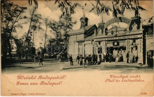 Budapešť XIV. Városliget, Első Budapesti Variete Színház, Naponta bohózatok és operettek