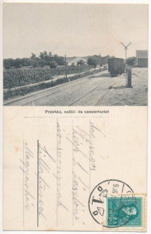 1936 Cegléd, Végh Sándor szőlőnagybirtokos szőlő és pincegazdasága, présház, szőlő és vasút részlet (fl...