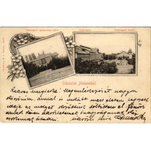 1901 Hatvan, Cukorgyári igazgatósági épület, Cukorgyár és cukorgyári kastély. Hoffmann M. L. kiadása. Art Nouveau...