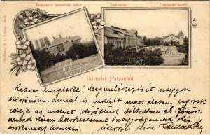 1901 Hatvan, Cukorgyári igazgatósági épület, Cukorgyár és cukorgyári kastély. Hoffmann M. L. kiadása. Secese...