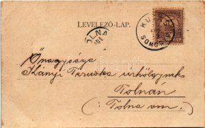 1901 Kaposvár, Takarékpénztár, cs. és kir. laktanya, vármegyeház. Hagelman Károly, secese, květinový (fl...