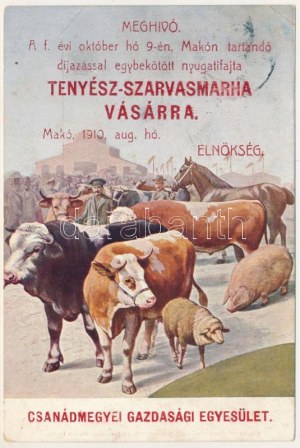 1910 Makó, Meghívó Tenyész-szarvasmarha Vásárra. Csanád megyei Gazdasági Egyesület + 
