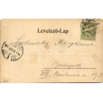 1905 Makó, Fő tér, piac, Schwarz és Reik, Lelek István cukrász, Topcsy László üzlete, étterem, bor- és sörcsarnok...