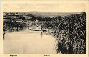 Sopron, Fertő tó, nádas. Piri Dániel kiadása (fl)